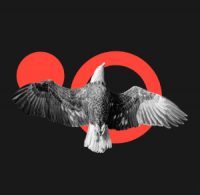 imagen del logo de Lagahe con un águila