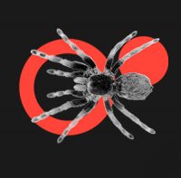 Imagen del logo de Lagahe con una araña